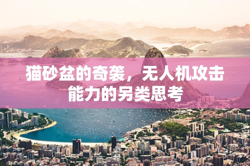 猫砂盆的奇袭，无人机攻击能力的另类思考