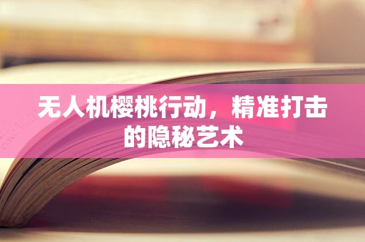 无人机樱桃行动，精准打击的隐秘艺术