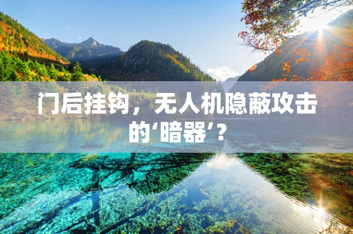 门后挂钩，无人机隐蔽攻击的‘暗器’？
