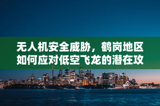 无人机安全威胁，鹤岗地区如何应对低空飞龙的潜在攻击？
