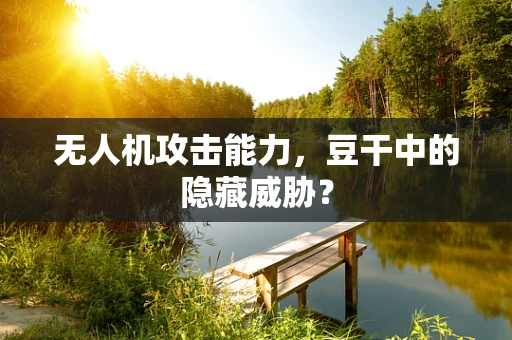无人机攻击能力，豆干中的隐藏威胁？