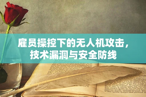 雇员操控下的无人机攻击，技术漏洞与安全防线