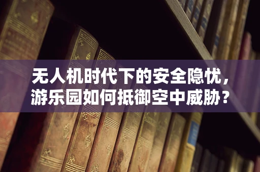 无人机时代下的安全隐忧，游乐园如何抵御空中威胁？