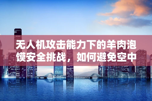 无人机攻击能力下的羊肉泡馍安全挑战，如何避免空中诱惑的威胁？