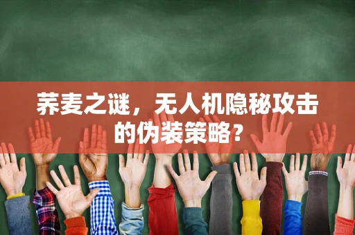 荞麦之谜，无人机隐秘攻击的伪装策略？