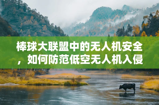 棒球大联盟中的无人机安全，如何防范低空无人机入侵？
