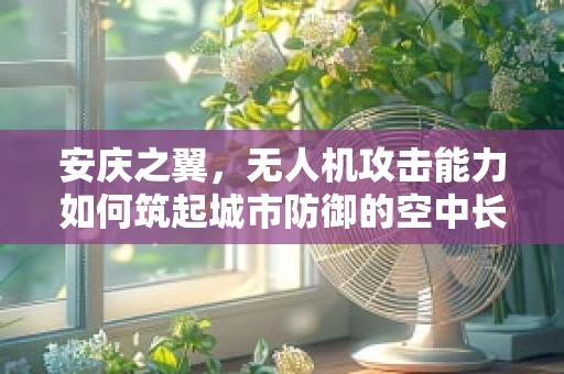 安庆之翼，无人机攻击能力如何筑起城市防御的空中长城？