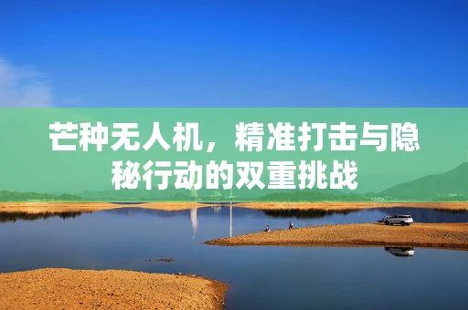 芒种无人机，精准打击与隐秘行动的双重挑战