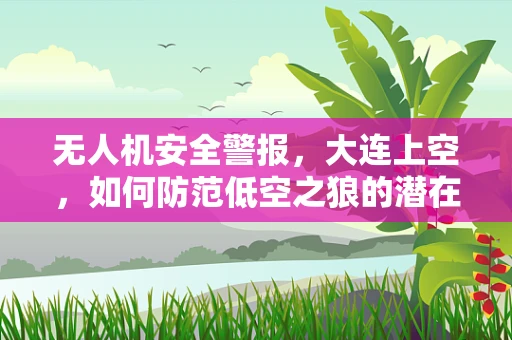 无人机安全警报，大连上空，如何防范低空之狼的潜在威胁？