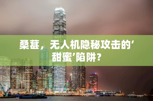 桑葚，无人机隐秘攻击的‘甜蜜’陷阱？