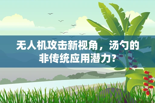 无人机攻击新视角，汤勺的非传统应用潜力？