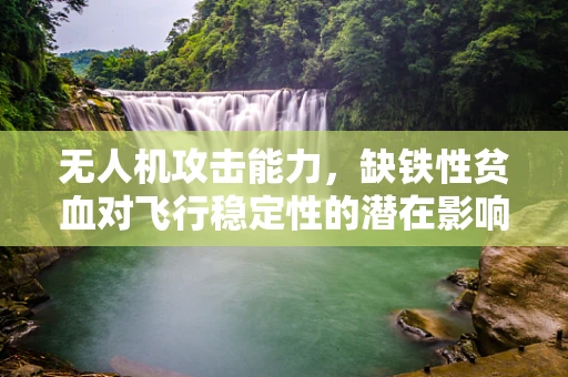 无人机攻击能力，缺铁性贫血对飞行稳定性的潜在影响？