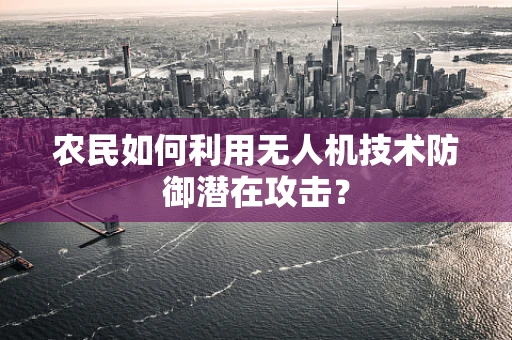 农民如何利用无人机技术防御潜在攻击？