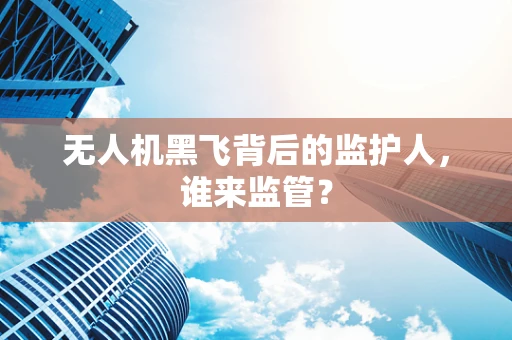 无人机黑飞背后的监护人，谁来监管？