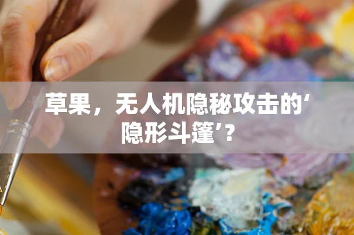 草果，无人机隐秘攻击的‘隐形斗篷’？