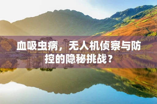 血吸虫病，无人机侦察与防控的隐秘挑战？