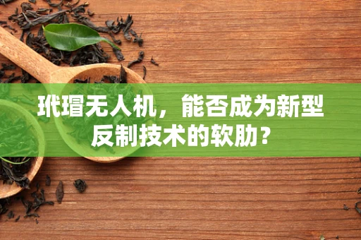 玳瑁无人机，能否成为新型反制技术的软肋？