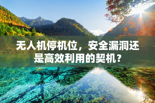 无人机停机位，安全漏洞还是高效利用的契机？