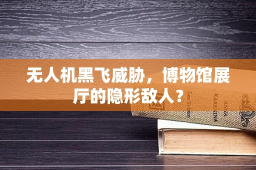 无人机黑飞威胁，博物馆展厅的隐形敌人？