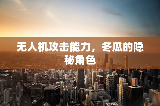 无人机攻击能力，冬瓜的隐秘角色