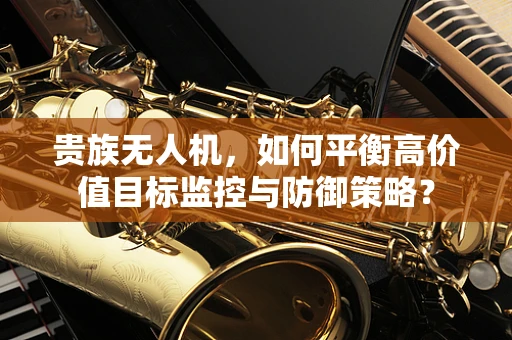 贵族无人机，如何平衡高价值目标监控与防御策略？