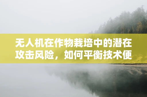 无人机在作物栽培中的潜在攻击风险，如何平衡技术便利与安全？