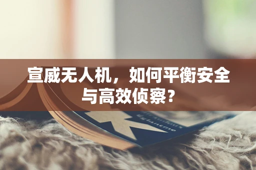 宣威无人机，如何平衡安全与高效侦察？