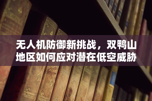 无人机防御新挑战，双鸭山地区如何应对潜在低空威胁？