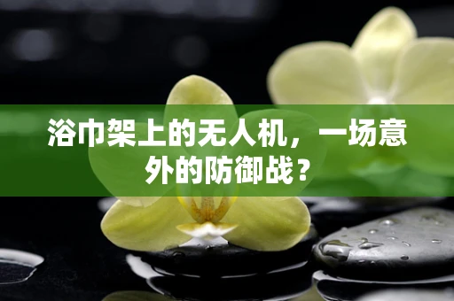 浴巾架上的无人机，一场意外的防御战？