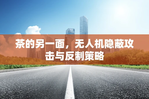 茶的另一面，无人机隐蔽攻击与反制策略