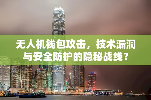 无人机钱包攻击，技术漏洞与安全防护的隐秘战线？