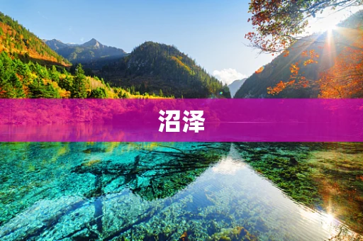 沼泽