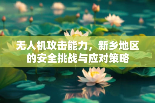 无人机攻击能力，新乡地区的安全挑战与应对策略