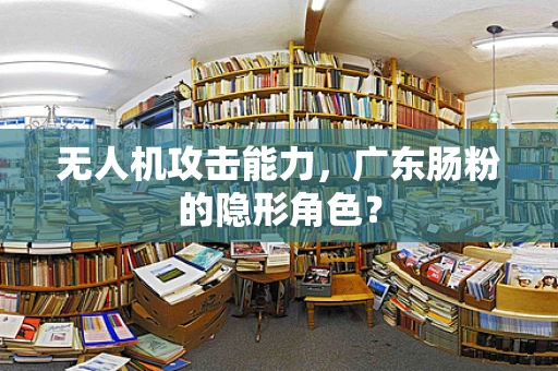 无人机攻击能力，广东肠粉的隐形角色？