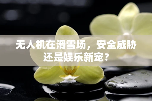 无人机在滑雪场，安全威胁还是娱乐新宠？