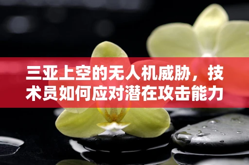 三亚上空的无人机威胁，技术员如何应对潜在攻击能力？