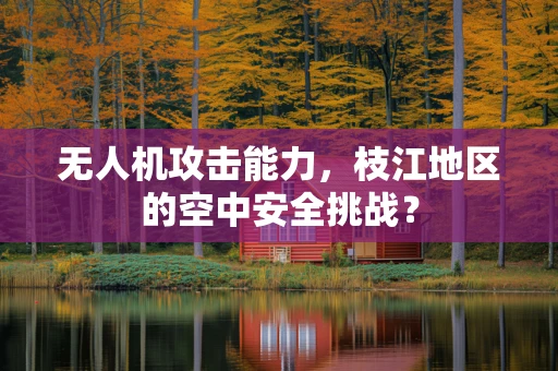 无人机攻击能力，枝江地区的空中安全挑战？