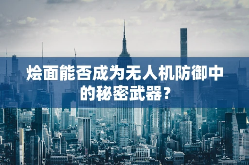 烩面能否成为无人机防御中的秘密武器？