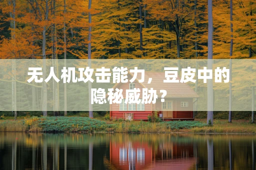 无人机攻击能力，豆皮中的隐秘威胁？