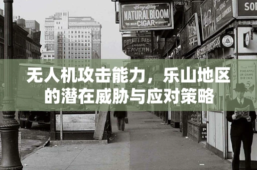 无人机攻击能力，乐山地区的潜在威胁与应对策略