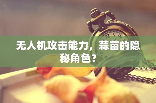 无人机攻击能力，蒜苗的隐秘角色？