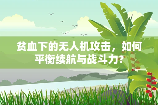 贫血下的无人机攻击，如何平衡续航与战斗力？