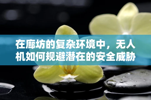 在廊坊的复杂环境中，无人机如何规避潜在的安全威胁？
