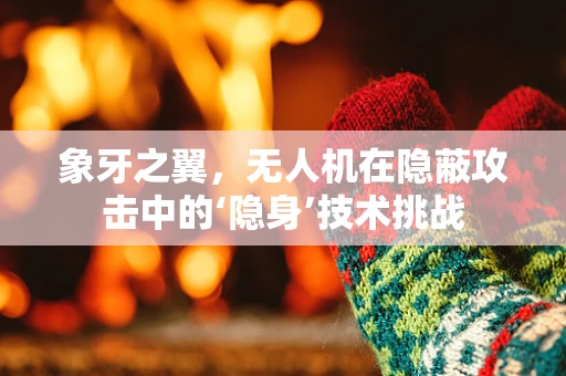 象牙之翼，无人机在隐蔽攻击中的‘隐身’技术挑战
