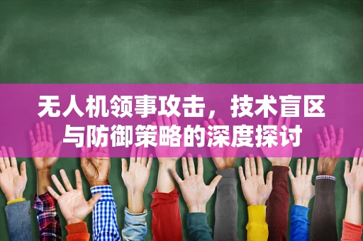 无人机领事攻击，技术盲区与防御策略的深度探讨