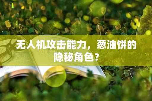 无人机攻击能力，葱油饼的隐秘角色？