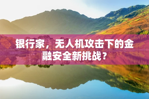 银行家，无人机攻击下的金融安全新挑战？