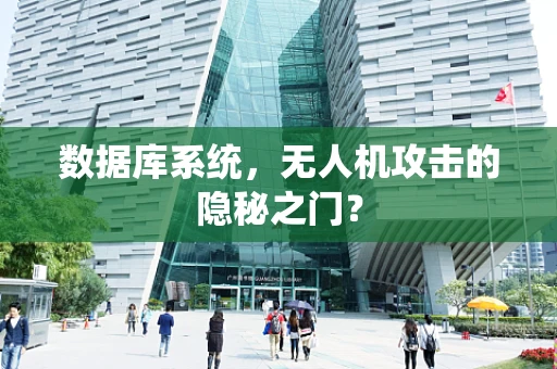 数据库系统，无人机攻击的隐秘之门？