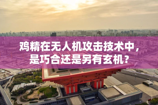 鸡精在无人机攻击技术中，是巧合还是另有玄机？