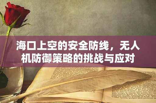 海口上空的安全防线，无人机防御策略的挑战与应对
